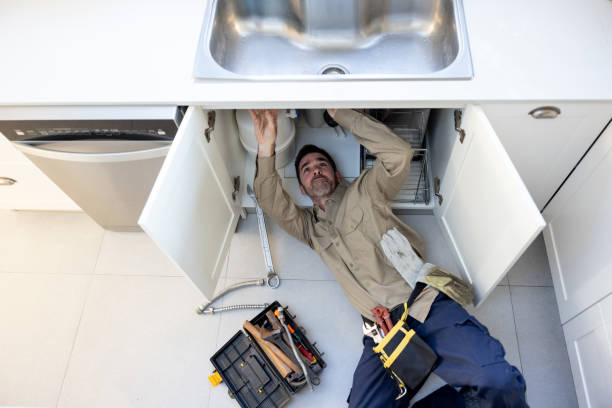 Best Local Plumber Services  in Senath, MO