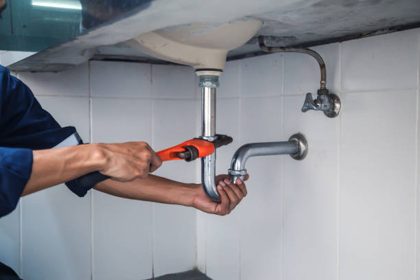 Best Plumbing Services Near Me  in Senath, MO