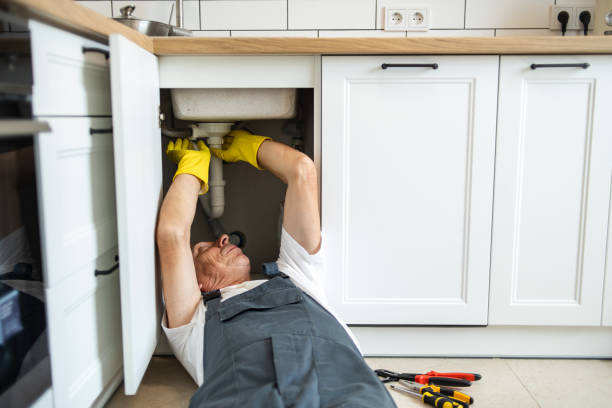 Best Emergency Plumber  in Senath, MO