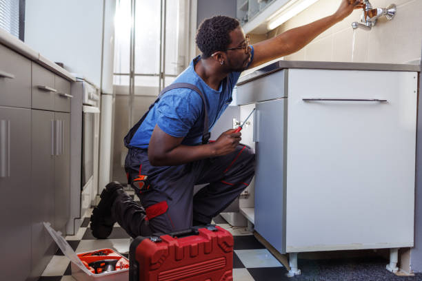 Best Residential Plumbing Services  in Senath, MO