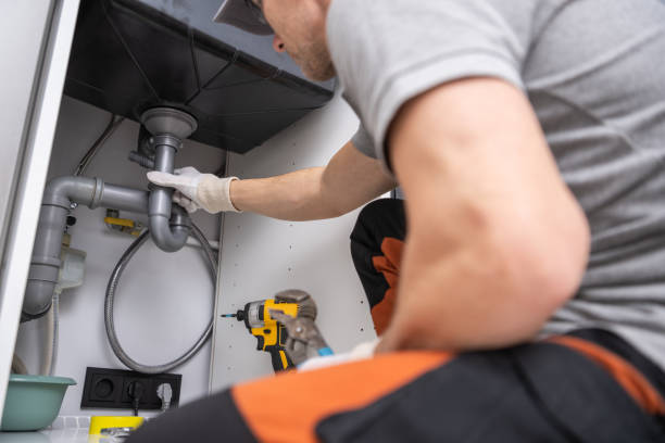 Best Plumbing Inspection Services  in Senath, MO